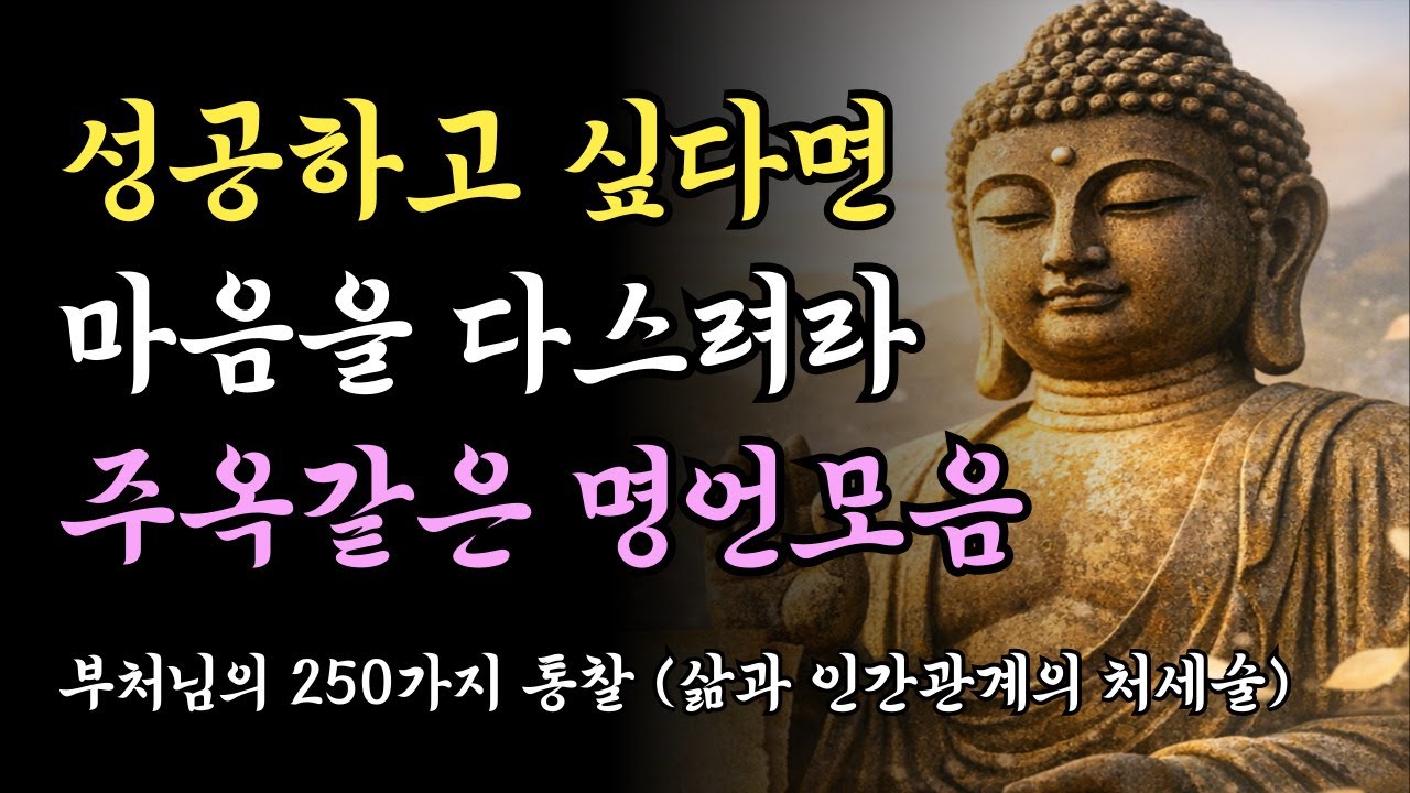 부처님 성공하는 삶의 지혜 250 문장 | 마음을 다스리기 위한 부처님 가르침 #부처님명언 #삶의지혜 #철학명언 #처세술 #동기부여글 #인생명언 #불교오디오북 #석가모니
