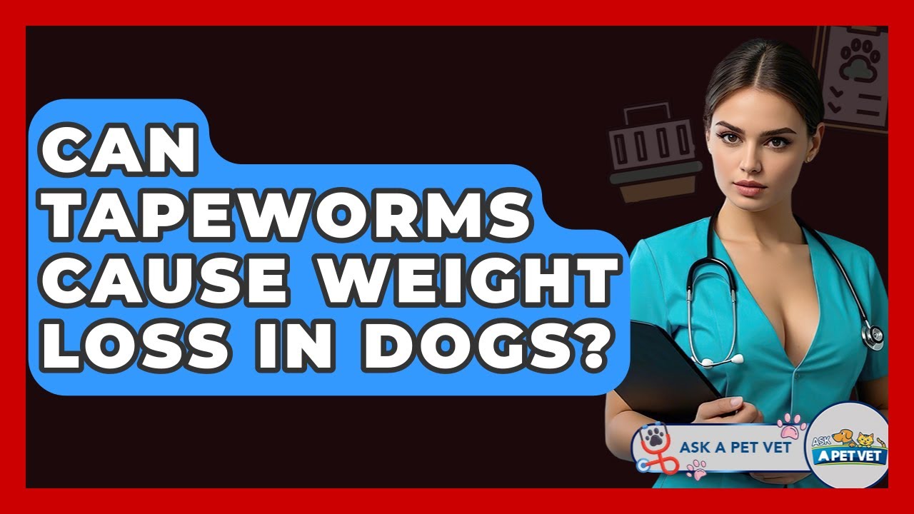 Can Tapeworms Cause Weight Loss In Dogs? - Ask A Pet Vet