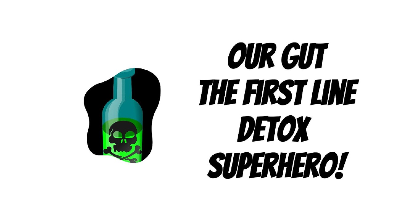 Detoxification  - The Detoxification Functions Of The Gut