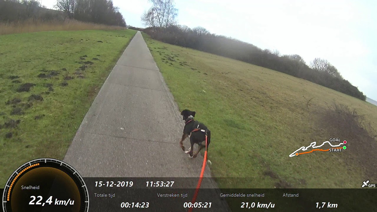 CCNL Bruinisse 2019 Rix bikejoring