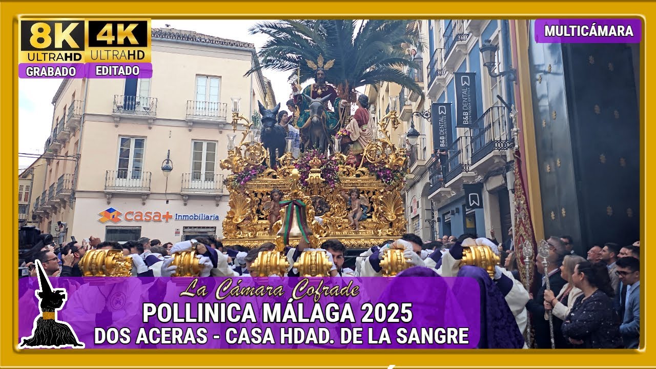 POLLINICA. DOS ACERAS - CASA HDAD DE LA SANGRE. SEMANA SANTA MÁLAGA 2025. MULTICÁMARA 4K