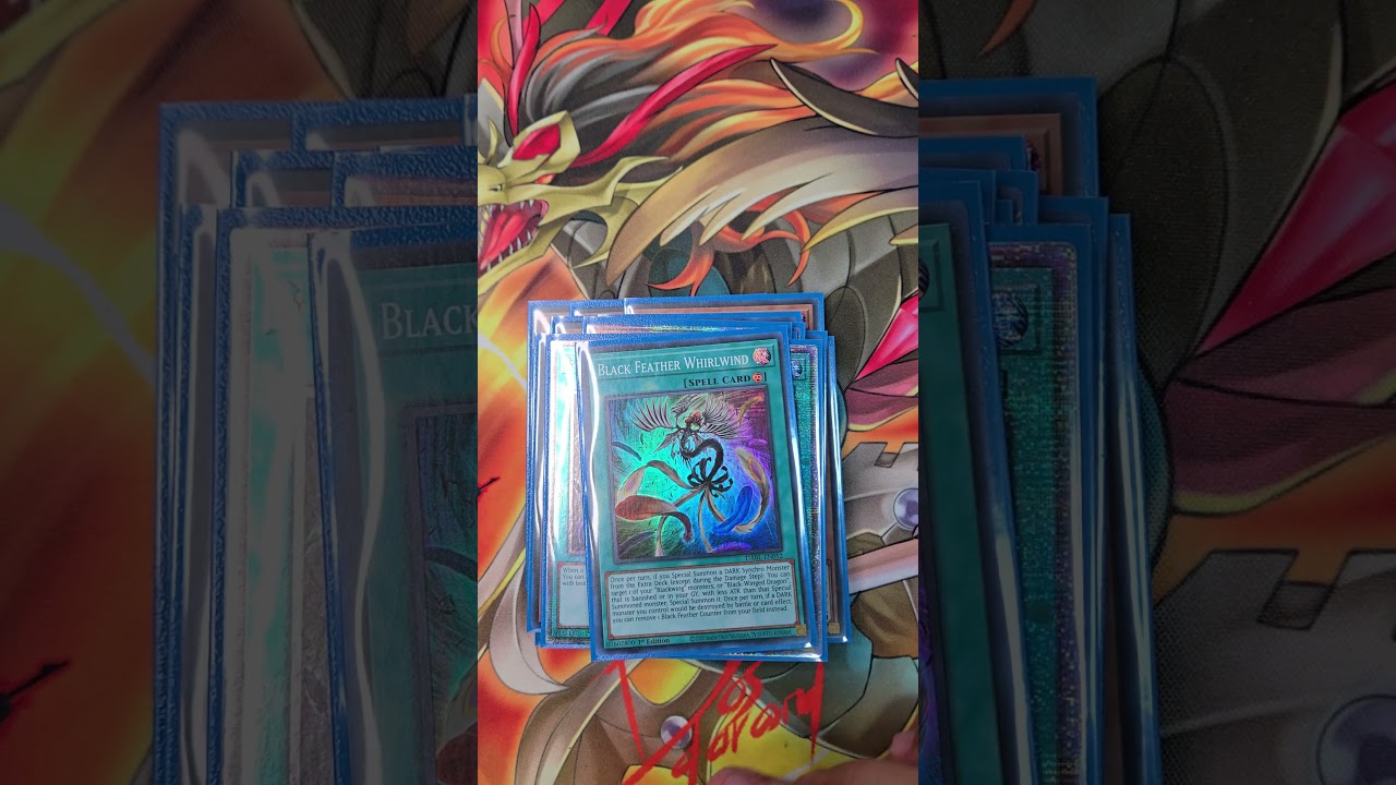 Blackwing Deck Profile in 60 Seconds  #yugioh #yugiohcommunity #tcg #yugiohtcg #blackwings #ygo #tcg