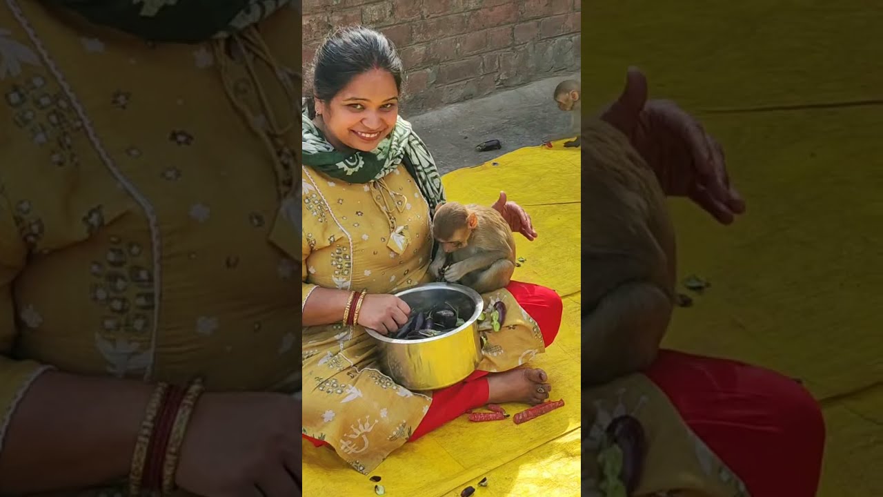 Bharat Mata Premi is live