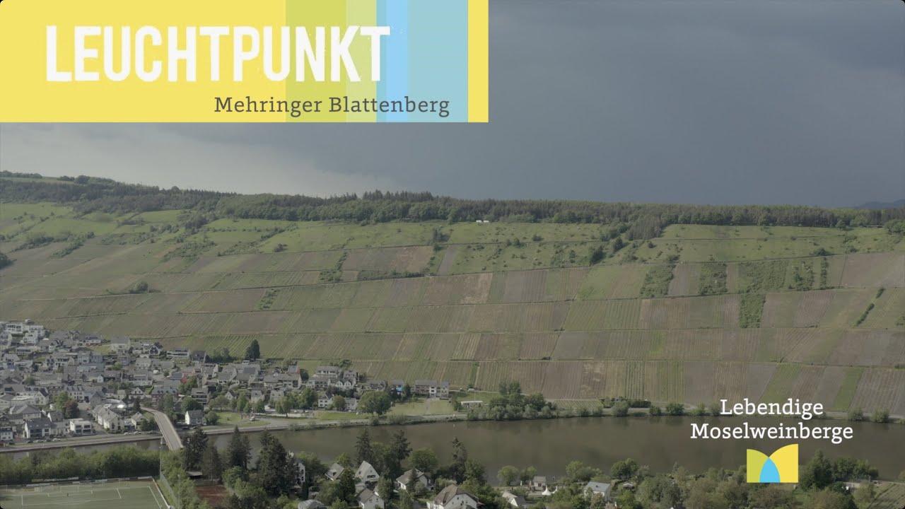 Mehringer Blattenberg