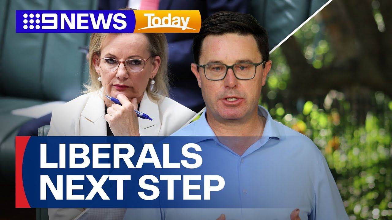 What is looming for Sussan Ley after the Coalition split? | 9 News Australia