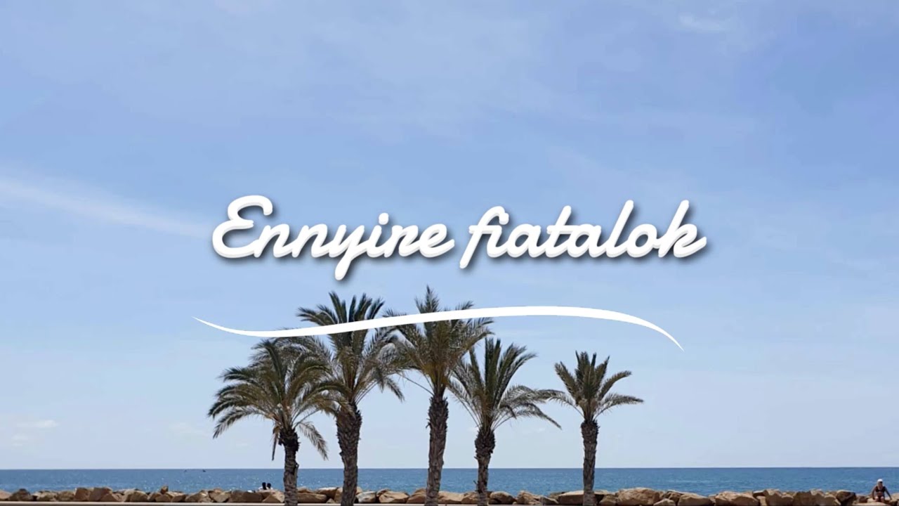 Ennyire fiatalok - László Attila (lyrics)