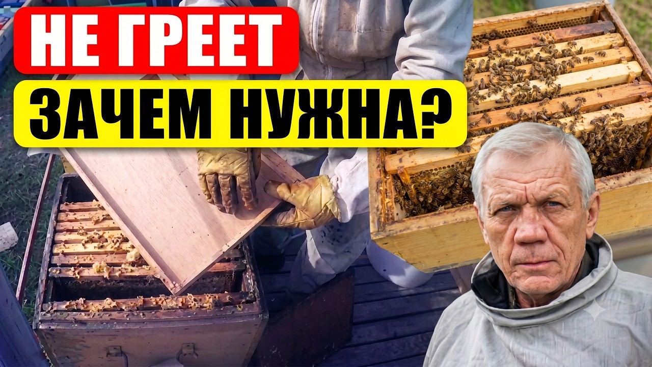 Заставная доска для улья. Почему эти заставные доски спасут ваших пчел зимой?
