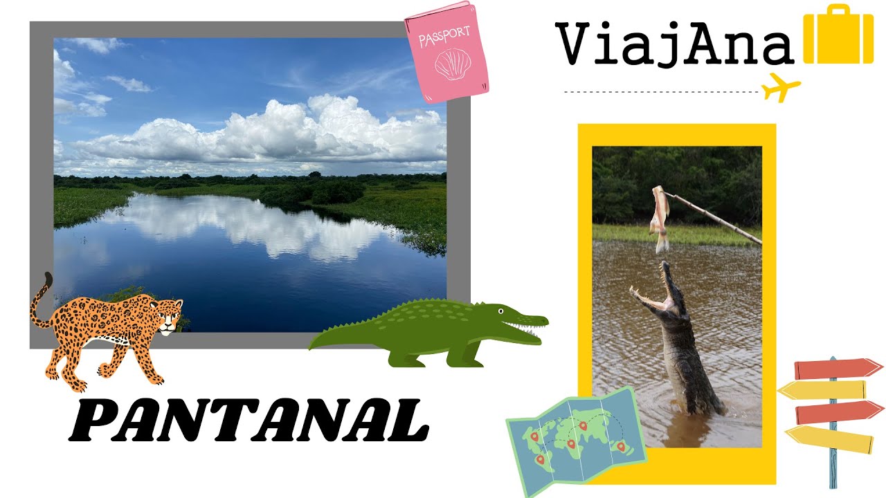 SAFARI NO PANTANAL SAINDO DE CUIABÁ - ViajAna