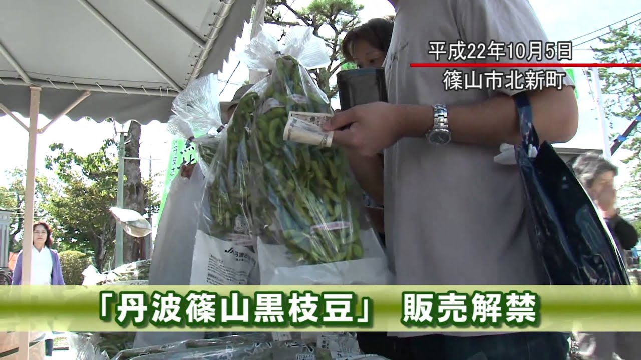 丹波篠山黒枝豆販売解禁