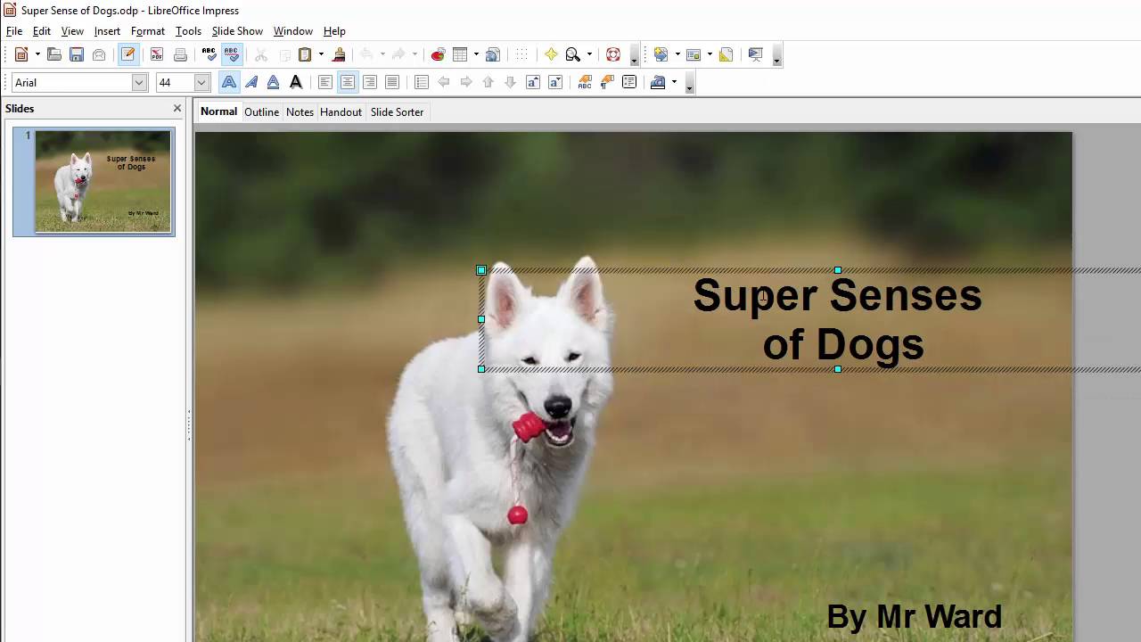 How to Make a Presentation in LibreOffice