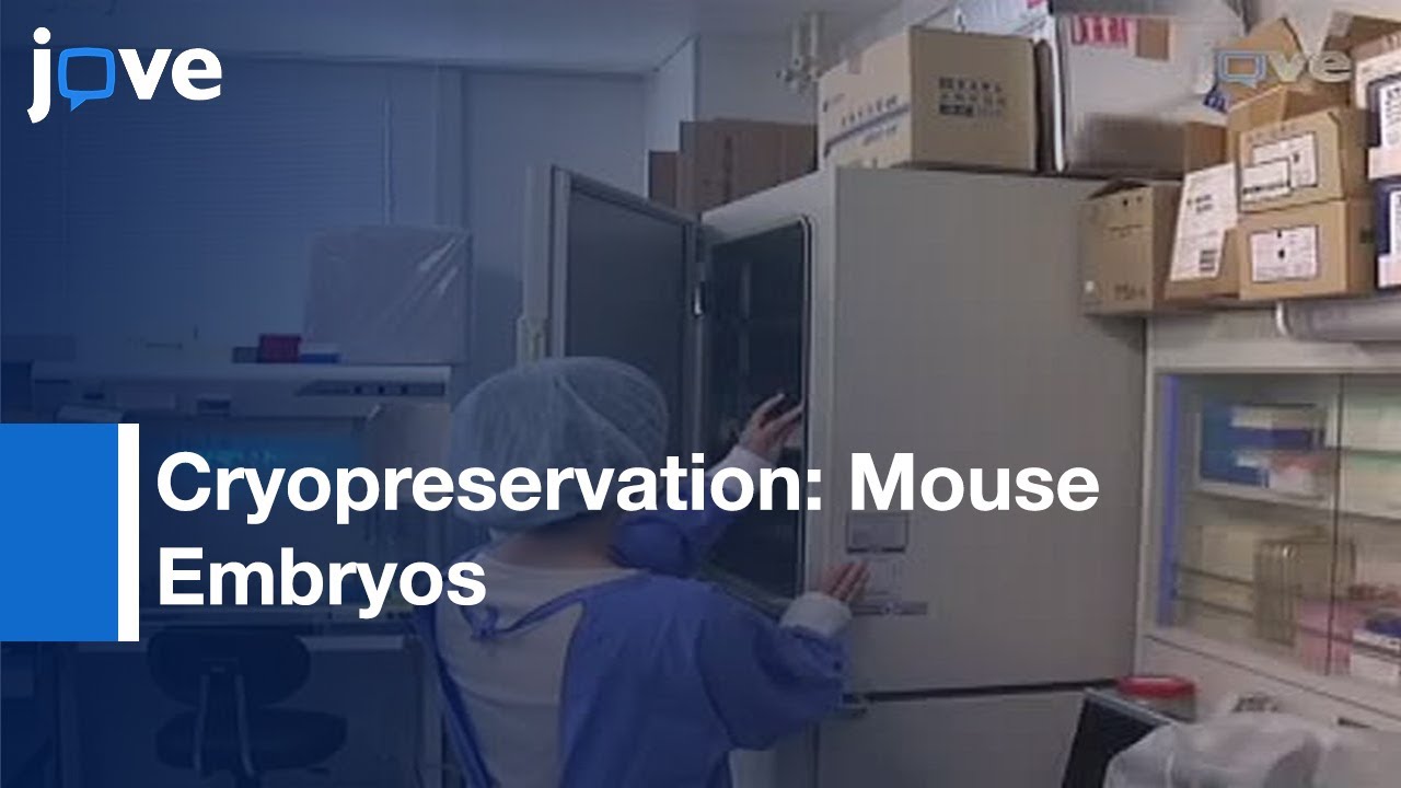 Cryopreservation: Mouse Embryos By Ethylene Glycol-Based Vitrification l Protocol Preview
