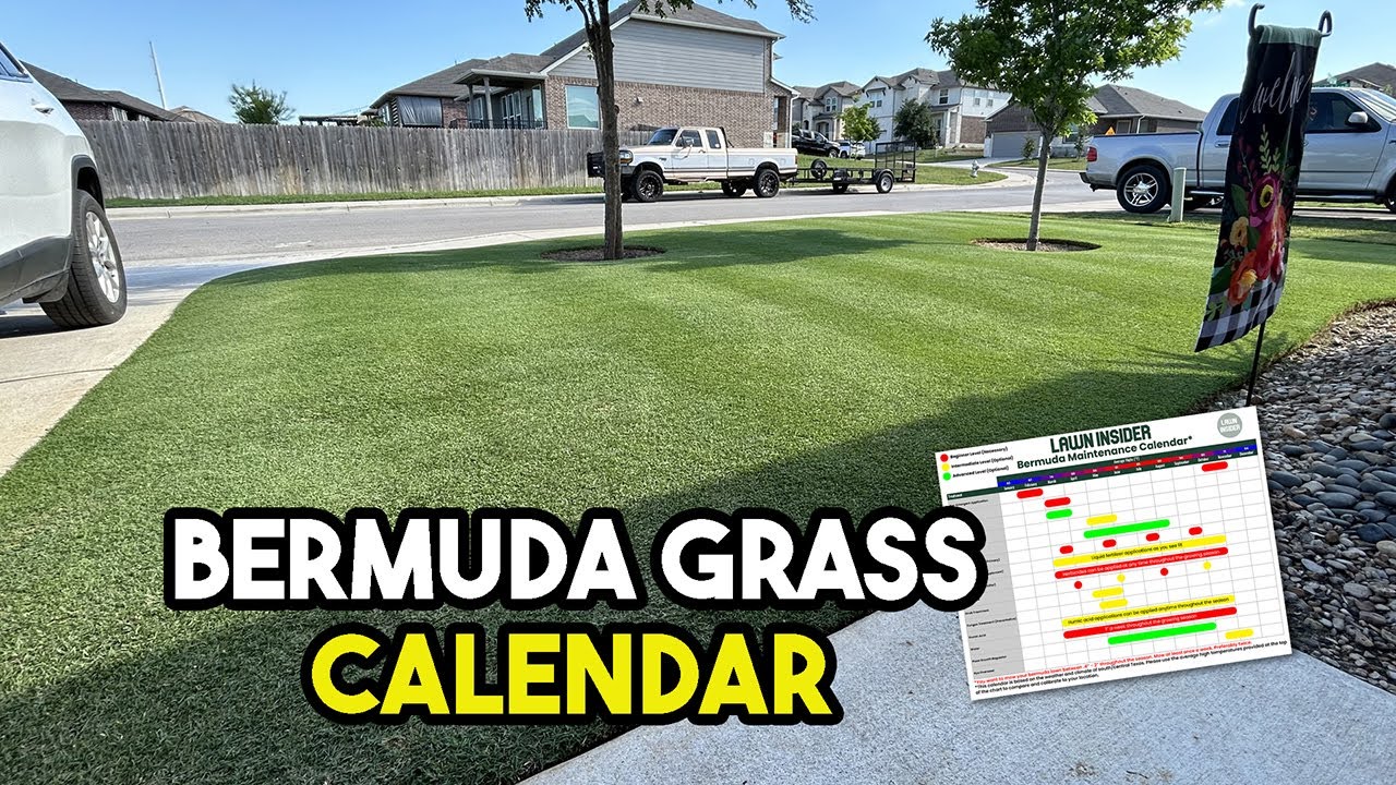 5 Steps to Wake Up Your Bermuda Lawn This Spring (+ Free Lawn Calendar)