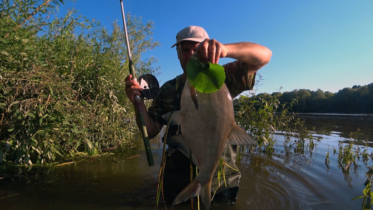Рыбалка на леща с ночёвкой. Новый монтаж удивил. Сало или пшеница ,что выбирает лещ в жару.