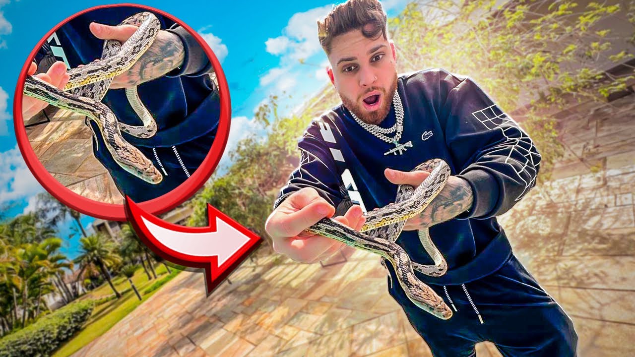 🚨URGENTE 🚨ENCONTREI UMA COBRA DE VERDADE NA CASA NOVA DOS HUNTERS !!