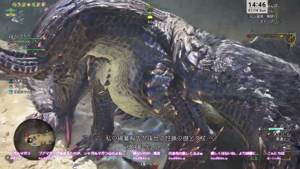 MONSTER HUNTER Wilds #36 新人まぐれハンターあわわ