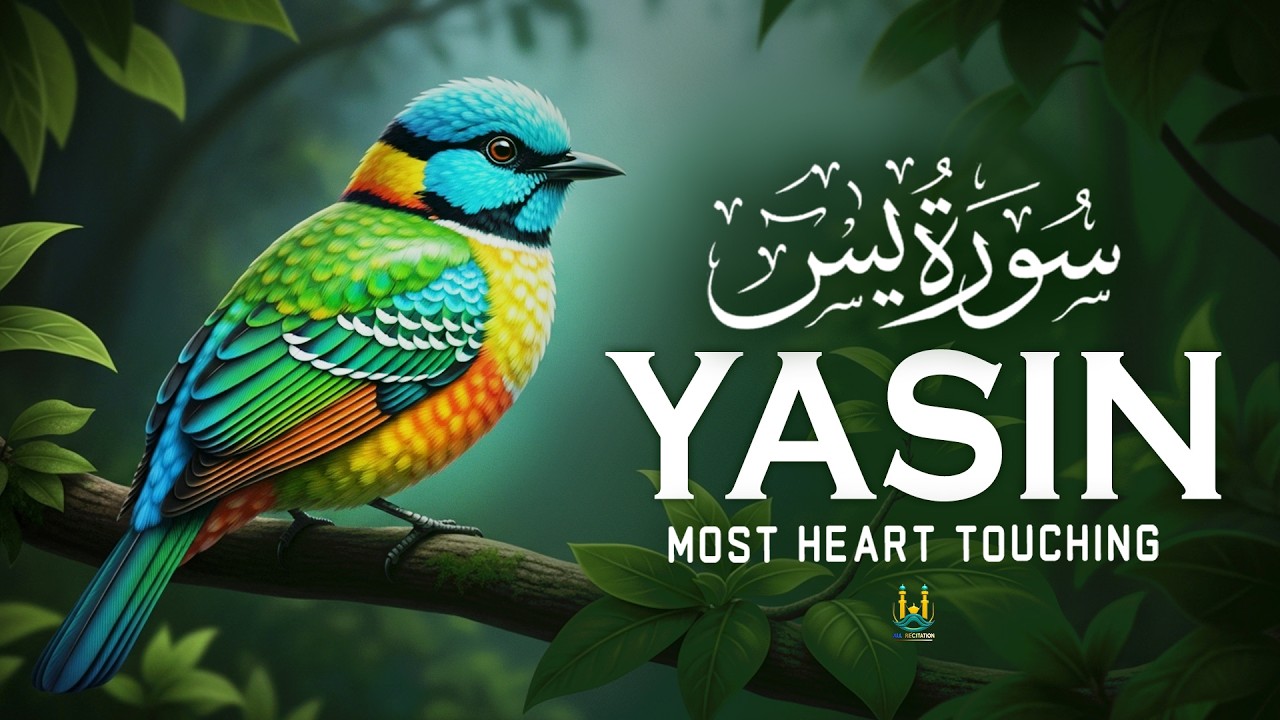 Surah Yasin (Yaseen) سورة يس | Peaceful Lofi Quran Recitation for Heart & Soul Healing