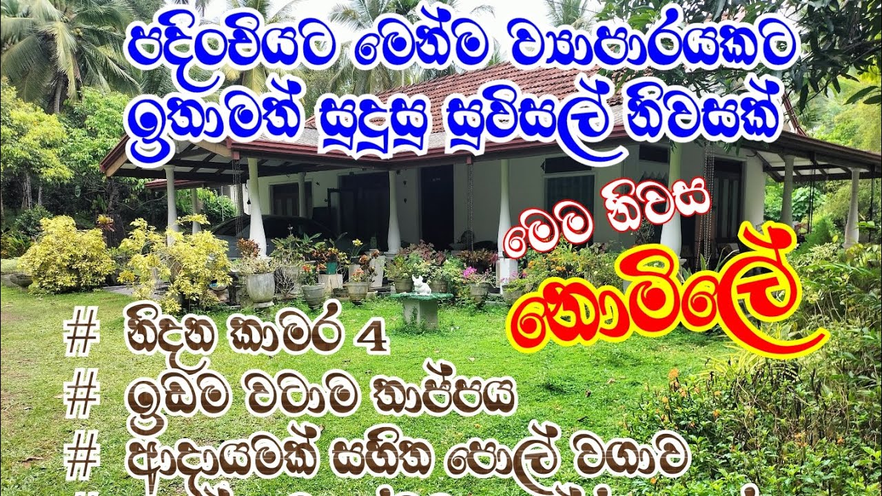 ඉඩමට සුවිසල් නිවසක් නොමිලයේ දෙනවා 