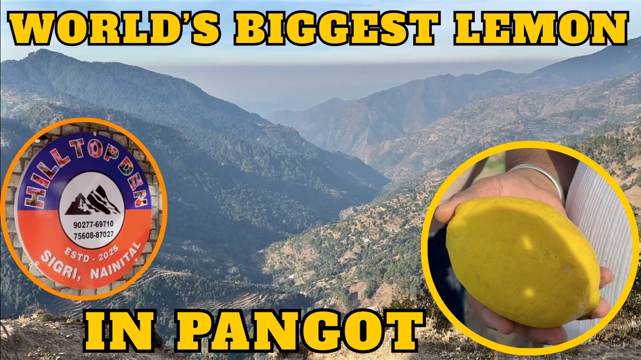 EP 5 | WORLD'S BIGGEST LEMON IN PANGOT BEST RESORT IS THIS !
