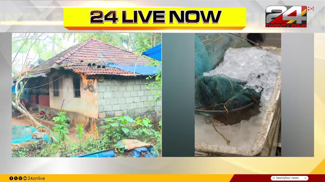 തൃശ്ശൂർ എരുമപ്പെട്ടിയിൽ വയോധികയെ കടിച്ചു കൊന്ന നായ ചത്തു