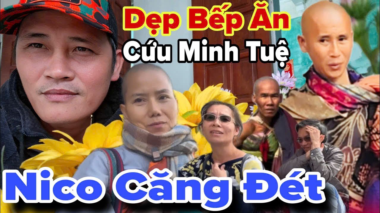 Nico dẹp bếp cứu Minh Tuệ.. Lực Tàng Tiên Sinh đang phát trực tiếp!