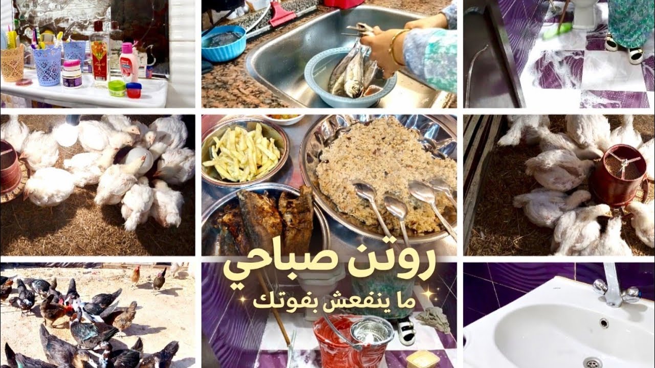 روتين صباحي ما ينفعش يفوتك اتحديت نفسي في عز الساقعه والمطر 🌧️🥶الست الجدعه ما تعرفش يعني ايه كسل