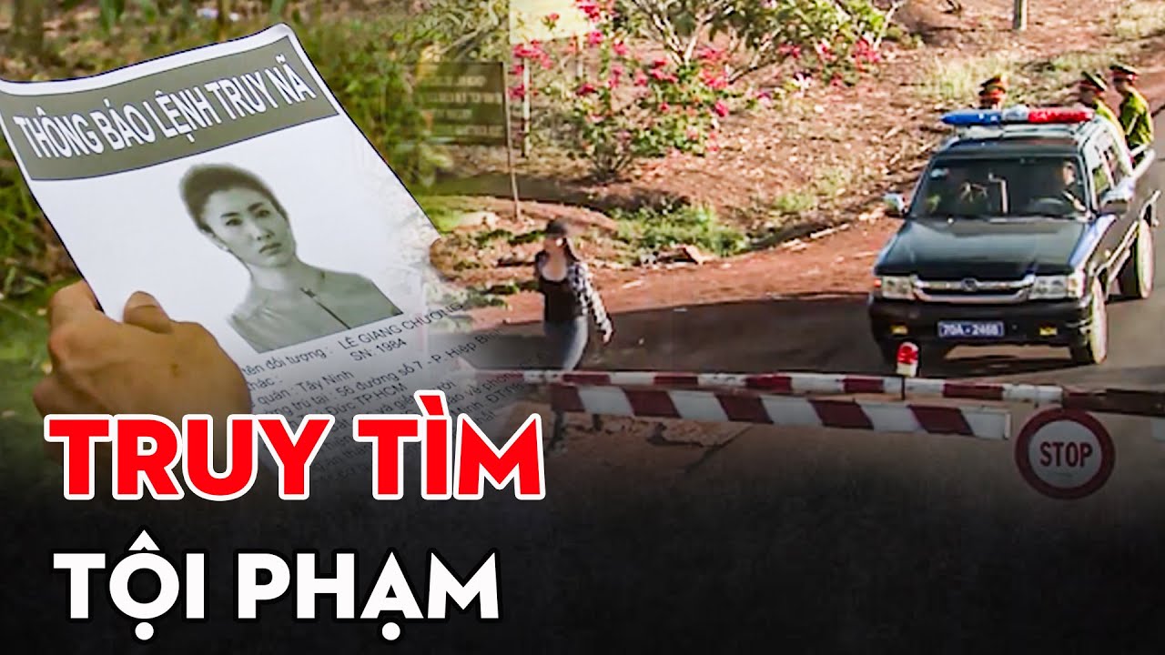 TRUY TÌM TỘI PHẠM BỊ LỆNH TRUY NÃ | PHIM TÂM LÝ XÃ HỘI MỚI NHẤT 2025 | PHIM VIỆT NAM 2025