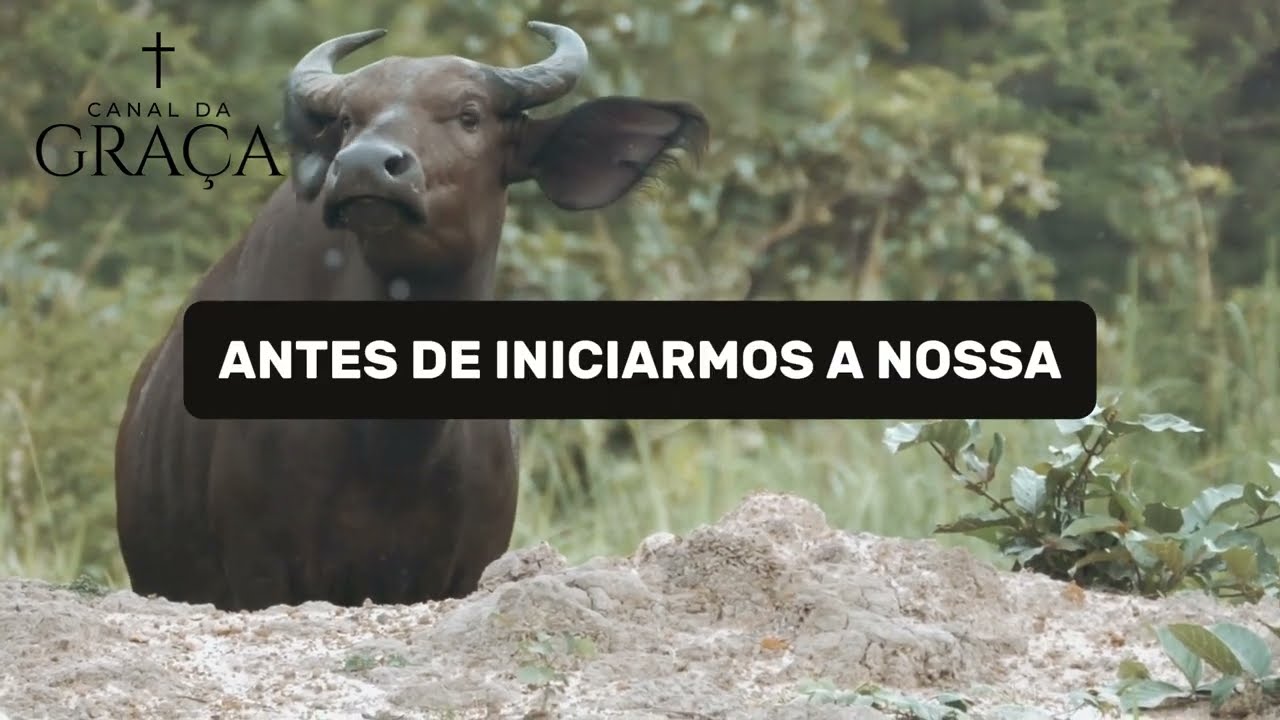 ORAÇÃO DA MANHÃ (15/03/2026) BÊNÇÃOS SOBRE SUA FAMÍLIA E LAR | DEUS VAI AGIR NA SUA CASA HOJE