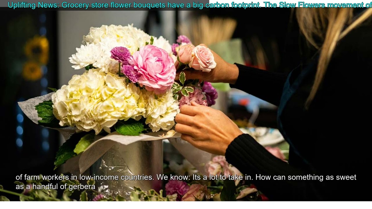 Uplifting News: Grocery store flower bouquets have a big carbon footprint. The Slow Flower