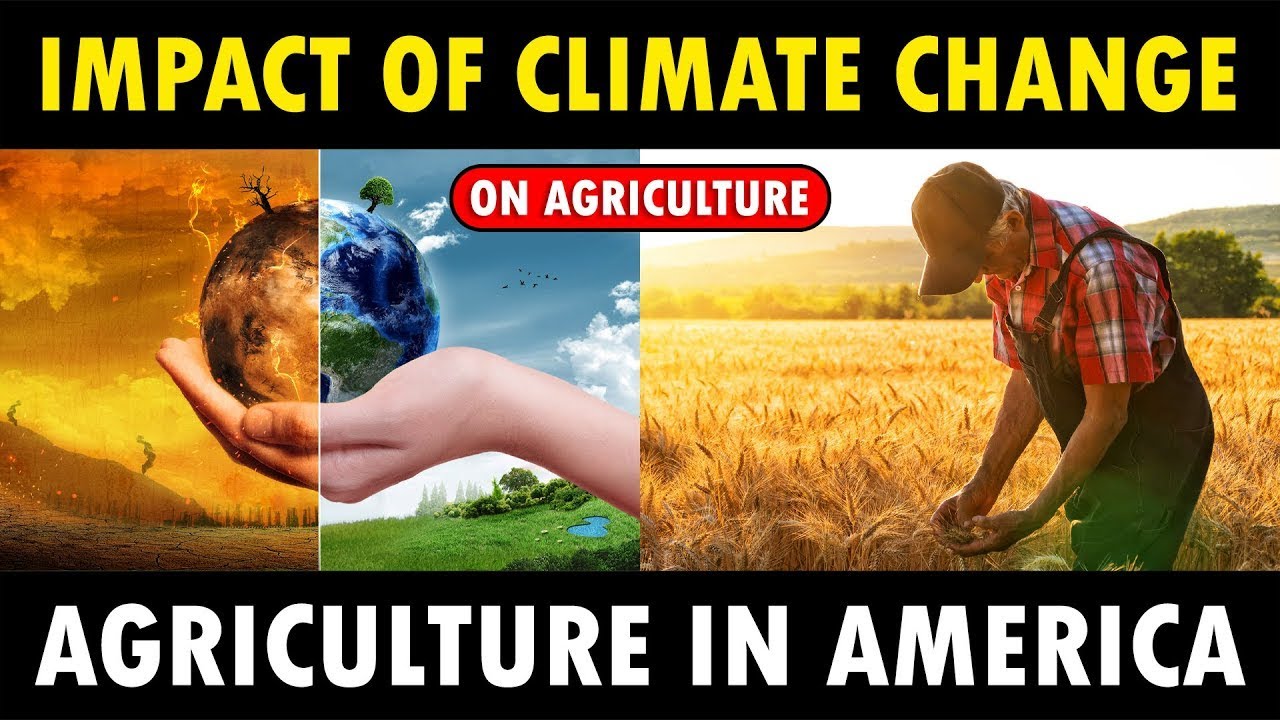 10 Devastating Ways Global Warming Impacts Agriculture |  Zero Zone