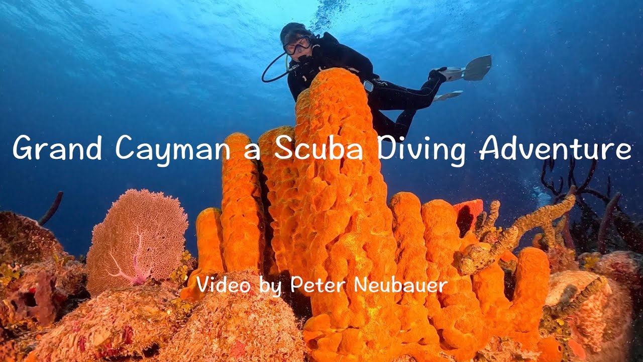Grand Cayman a Scuba Diving Adventure Liveaboard Cayman Aggressor IV
