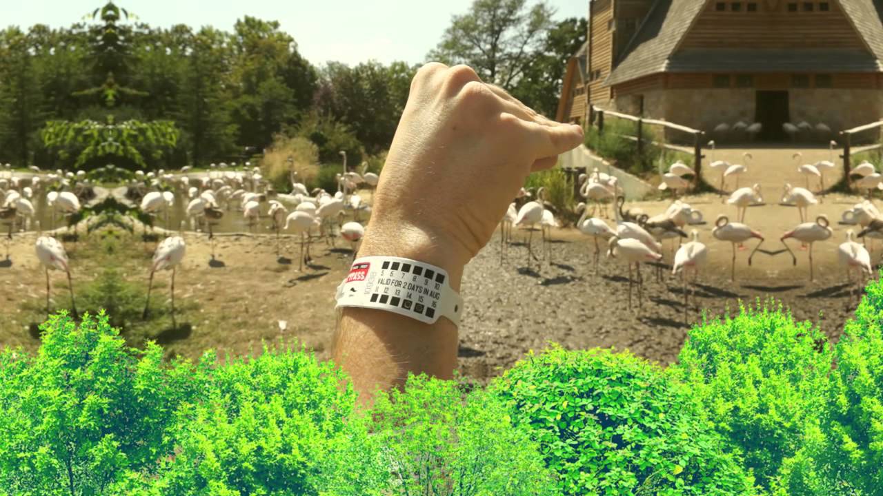 Sziget-Budapest Citypass: exploring the city jungle