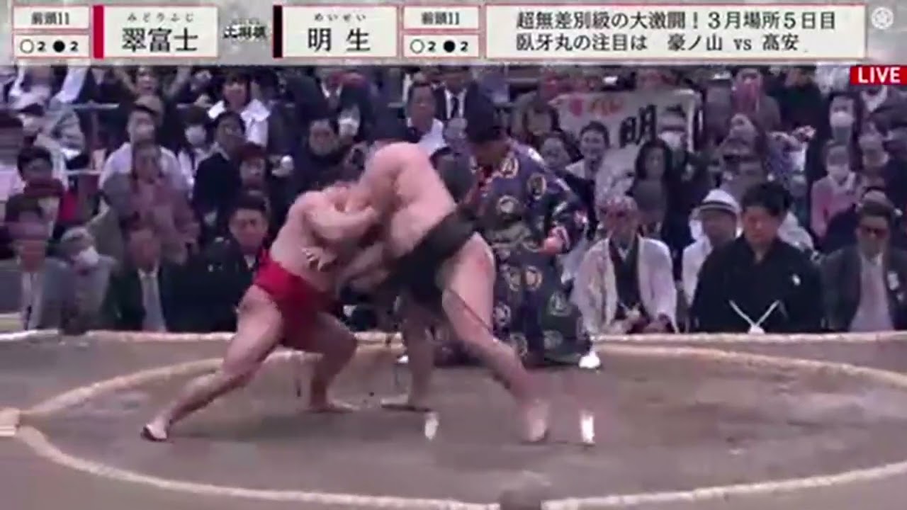Midorifuji vs Meisei (Day 5 March Basho 2025) | #zodihc on #Twitch