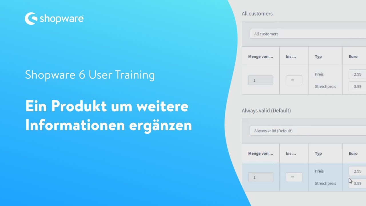 Ein Produkt um weitere Informationen erweitern (Shopware 6 Tutorial)