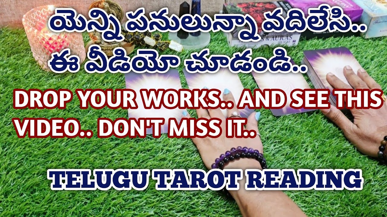 ఎన్ని పనులున్నా.. వదిలేసి.. ఈ వీడియో చూడండి.. DON'T MISS THIS VIDEO.. @sreedeviigiridhar 
