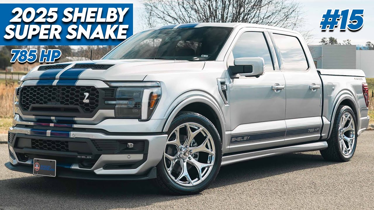 IS THIS THE BEST SHELBY SUPER SNAKE F-15O COLOR COMBO?