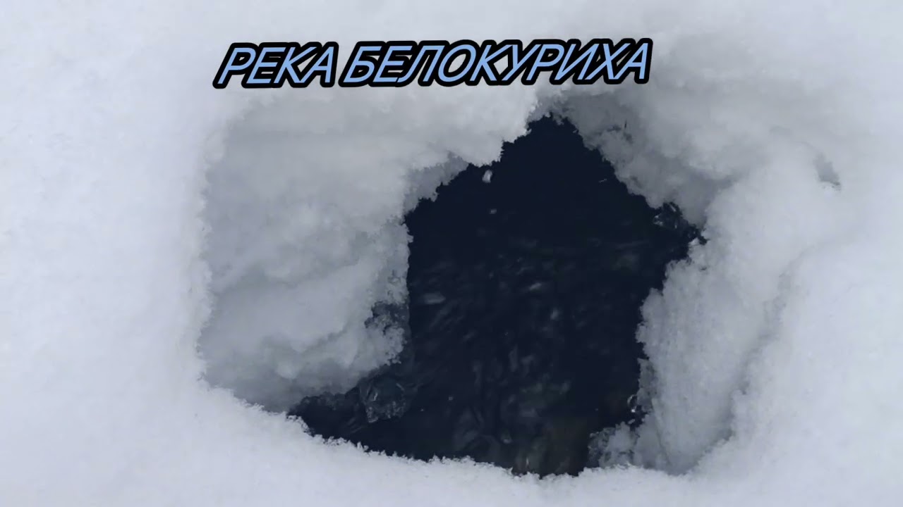Белокуриха, Терренкур 