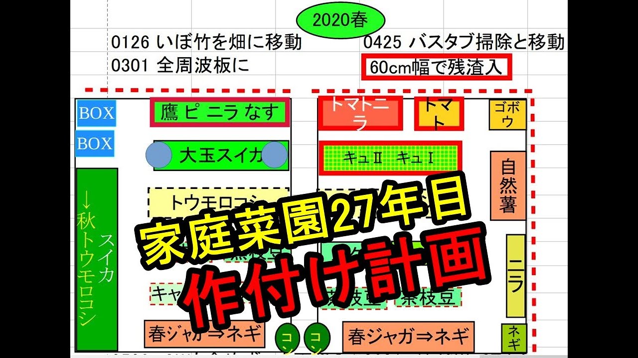 【畑の作付けプランと2020年春の様子】家庭菜園27年目 無農薬野菜で半自給自足