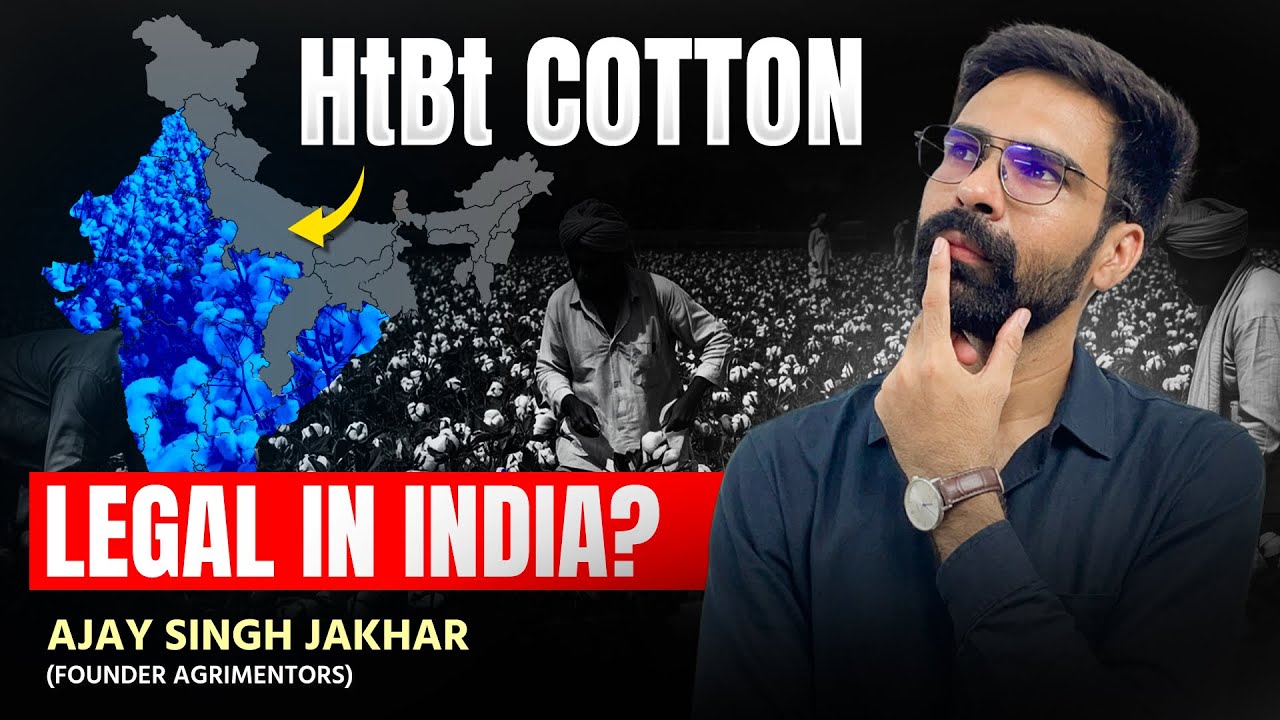 भारत में HtBt कपास को मिलेगी मंजूरी? | Road to Become No.1 Cotton Producer  2034 | Cotton Revolution