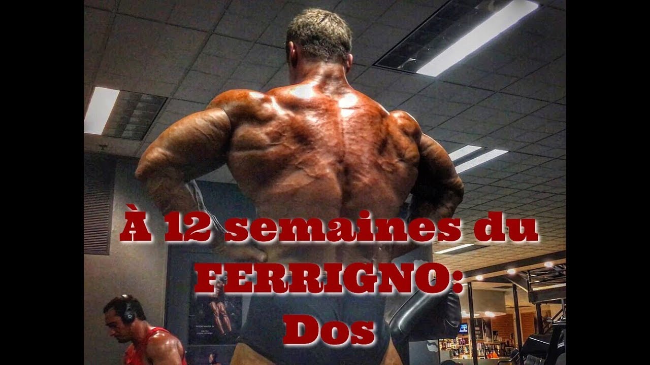 STANIMAL: Vlog à 12 semaines du FERRIGNO: DOS avec SHAWN RHODEN
