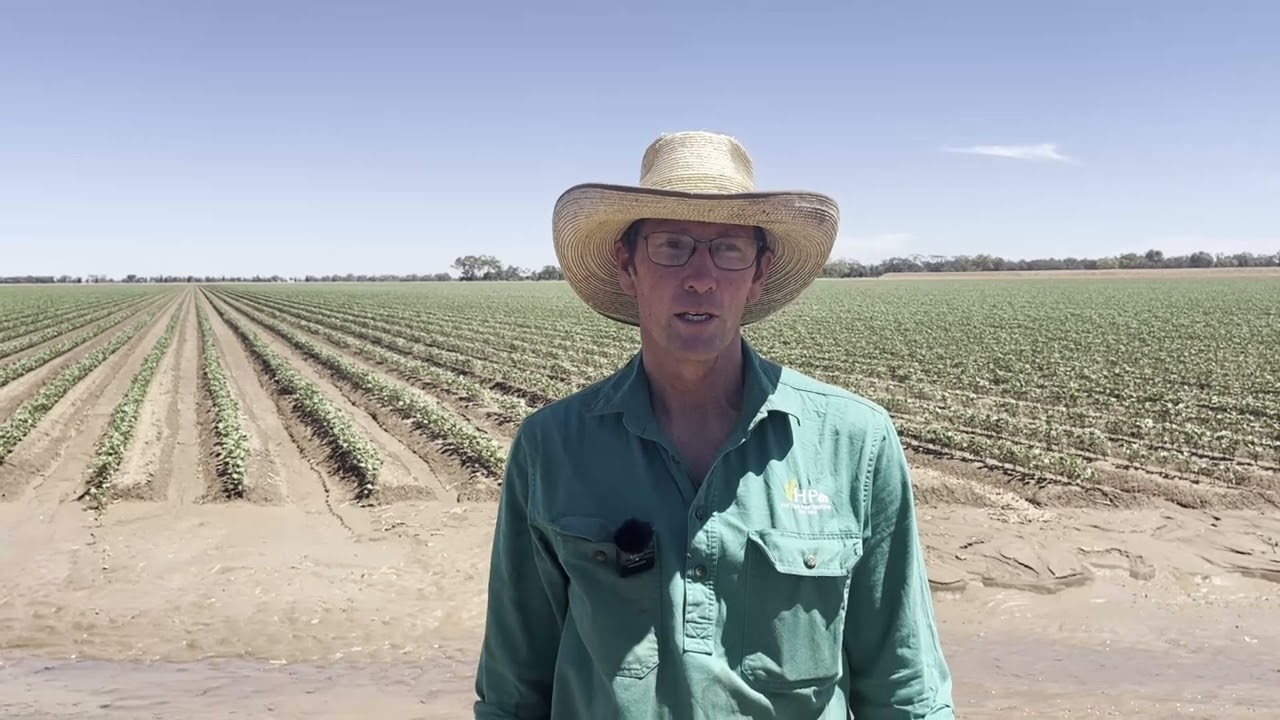 myBMP: Gus O'Brien, Warren NSW