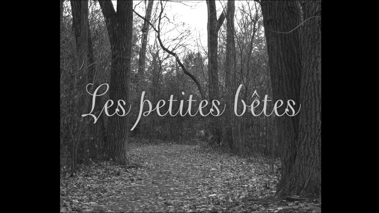 Les petites bêtes 