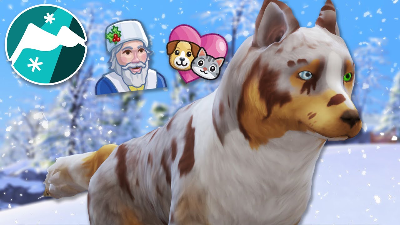 Отправляем наших ездовых собак к Санте?! 🐕🗻 Sims 4: Снежные ездовые собаки &bull; #30