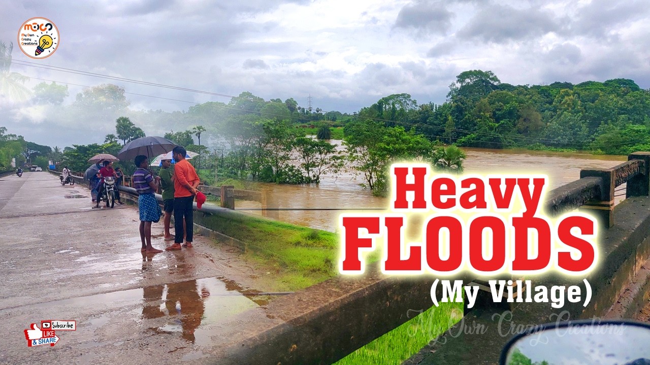 Heavy Floods in My Village | #village #villagescenes #villagenatures