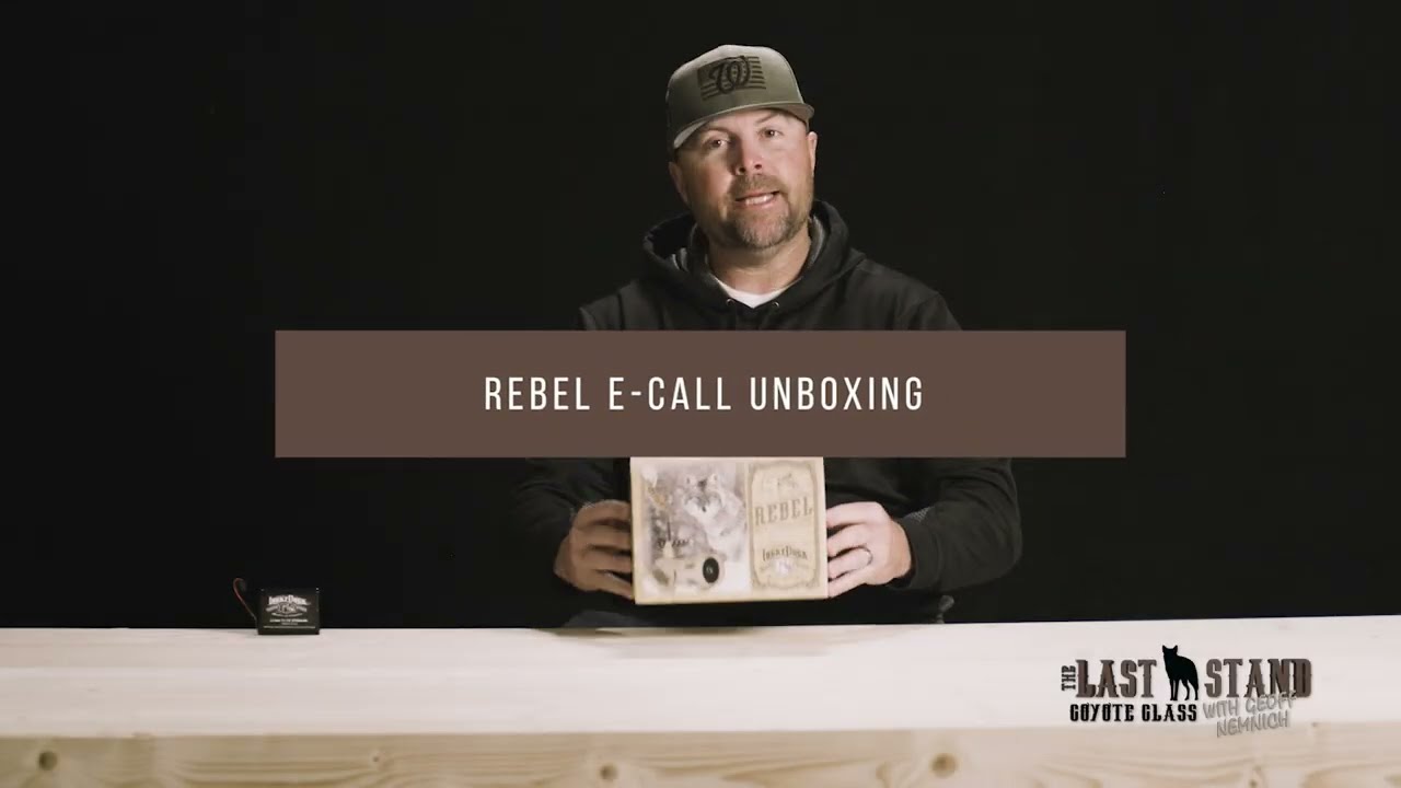 Распаковка и настройка электронного звонилки Lucky Duck Rebel