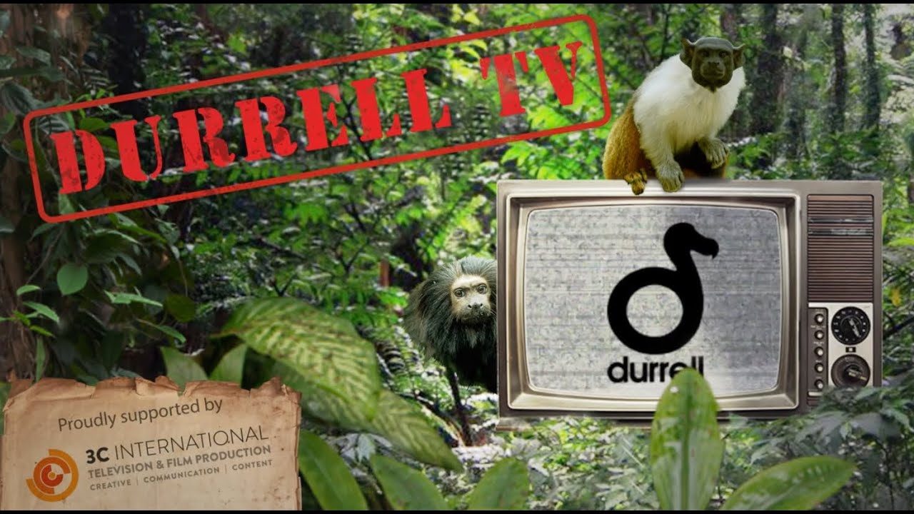 Durrell TV | Episode 2