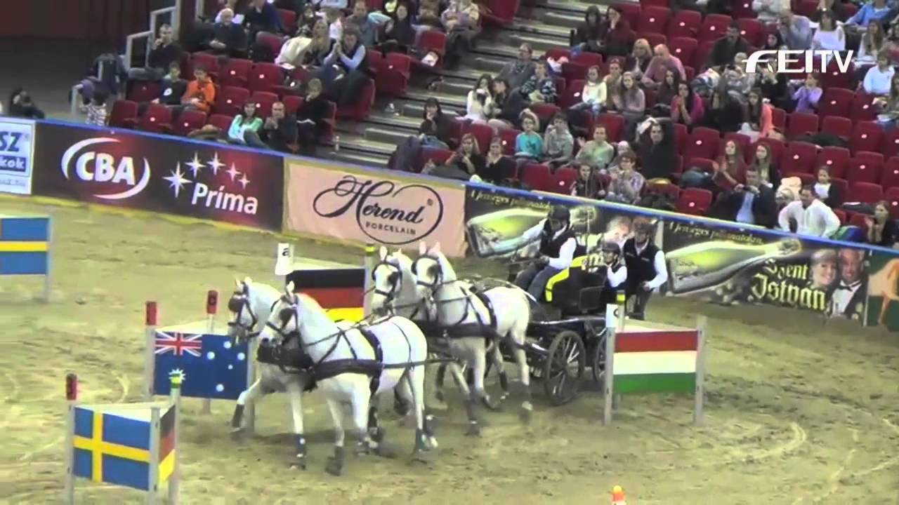 FEI World Cup™ Driving 2012/13 Budapest - Jozsef Dobrovitz 3rd Place