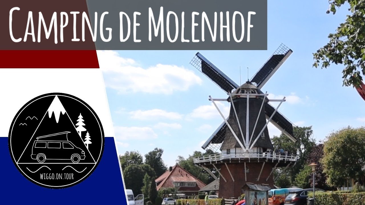 Mit dem Bulli zum Campingplatz de Molenhof | Familiencamping