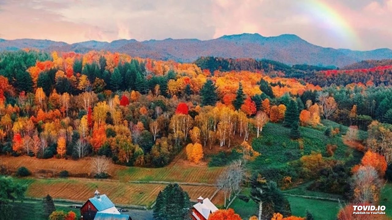 فوائد حديث ( لم يكن النبي ﷺ سبّاباً ولا فحّاشاً ولا لعّاناً )