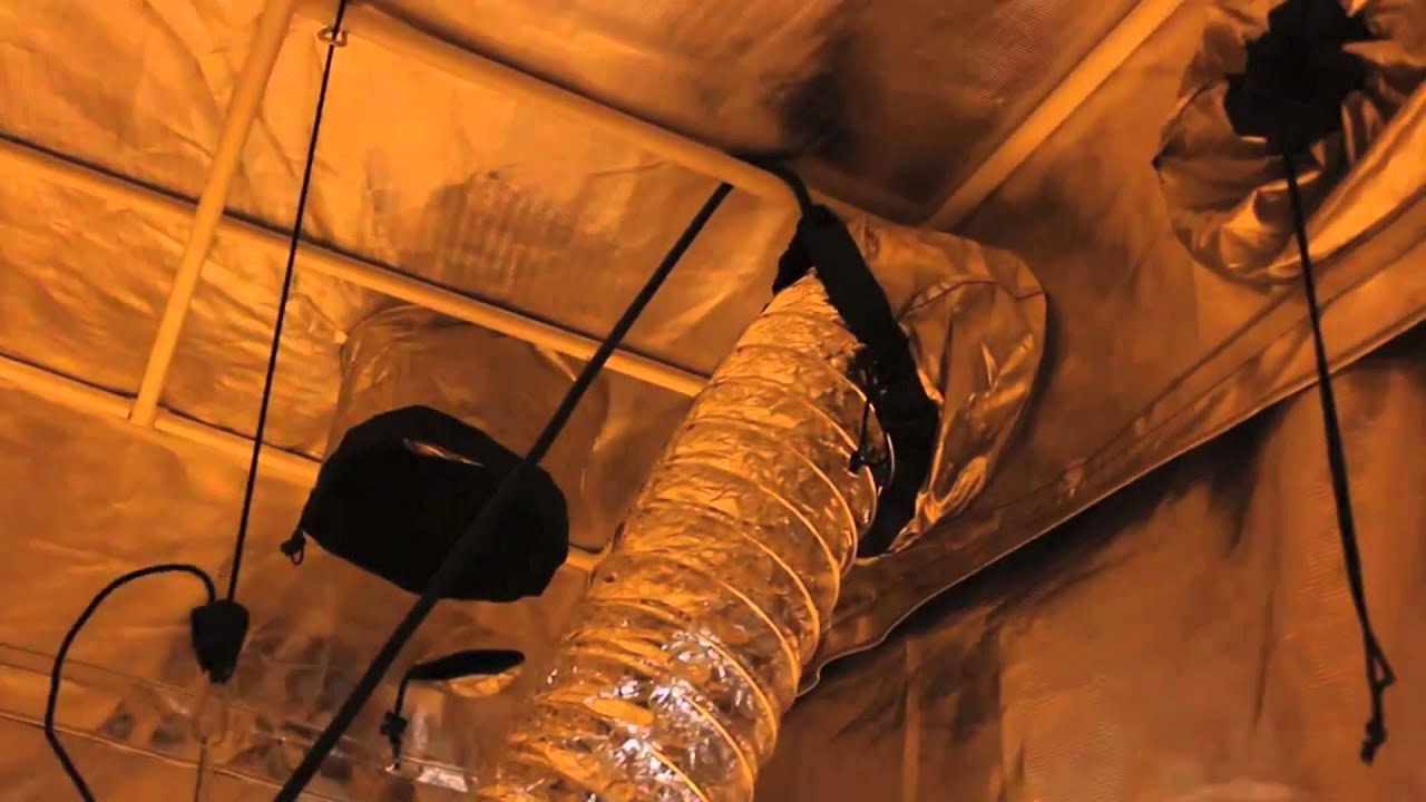 Professional Grow Room Tent Kit - Fully Automated