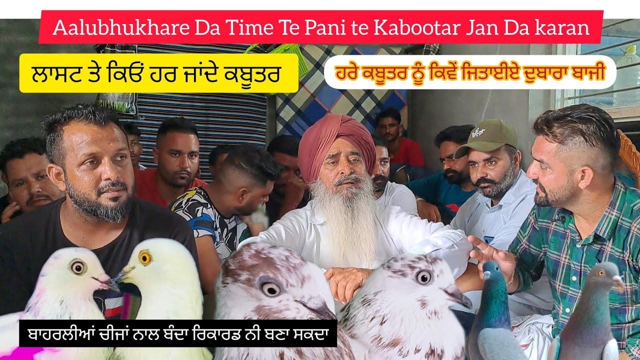 Ik Shonk kabootarbaazi Da Interview Jaggi Roomi Jila Ludhiana Part 2 ਹਾਰਿਆ ਕਬੂਤਰ ਕਿਵੇਂ ਬਾਜੀ ਜਿੱਤੂ
